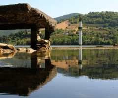 DOĞA