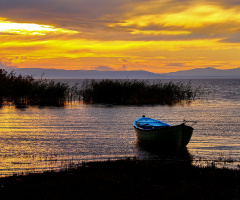 Bandırma Kuş Cenneti