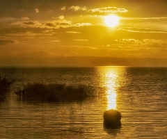 Bandırma Kuş Cenneti