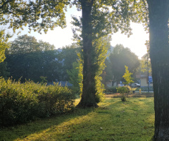 SEPTEMBER'S MORNING 