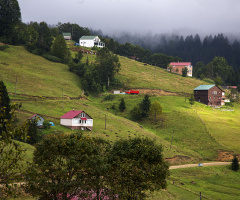 Tonya Kadıralak Yaylasından