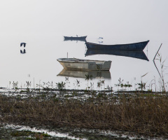 Bandırma Kuş Cenneti 