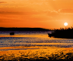 Bandırma Kuş Cenneti