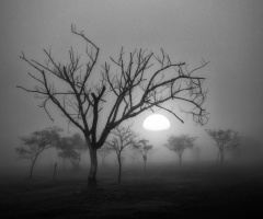 Manhã fria de inverno