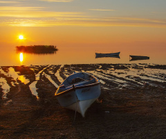 Bandırma Kuş Cenneti