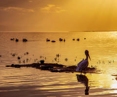 Bereketli - Bandırma