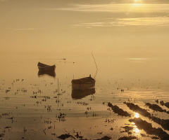 Kuş Cenneti - Bandırma