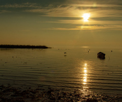 Bandırma Kuş Cenneti