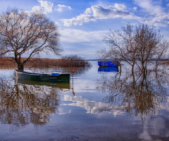 Akçalar - 2 - Bursa