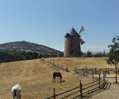 Değirmenin Fısıltısı