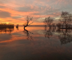 Uluabatta Gün Batarken...