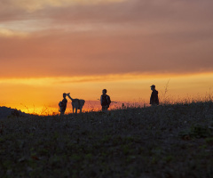 Dalliıca Sırtlarında Akşam