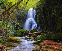 Dağpınar Şelalesi