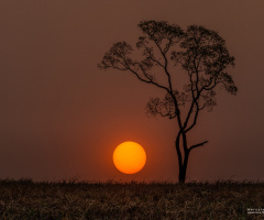 Um belo pôr do sol