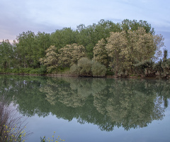 Kirmasti Çayı Yansımaları
