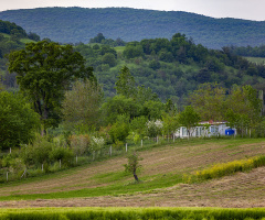 Bağ Evi