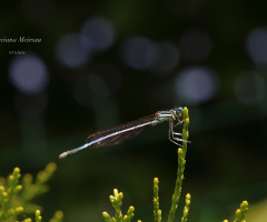 Tiny moments, endless beauty!