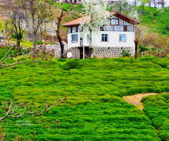 Doğa 
