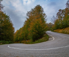 Ring Yolu - Suuçtu
