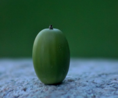 A Moment Of Solitude...