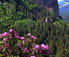 sümene manastırı  CANON 60D- 24 105