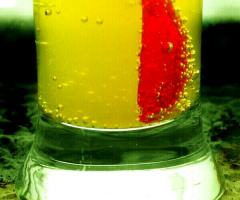 cool summer treat