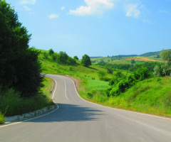 Yeşillik ve Yol