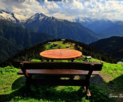 Pokut Yaylası-Çamlıhemşin-Rize