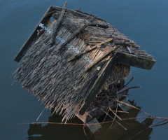 No One Home