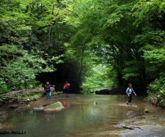 Harmankaya şelale (ZONGULDAK)