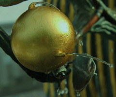 Water Is Gold !.