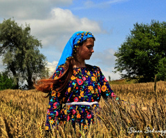 doğa ve insan