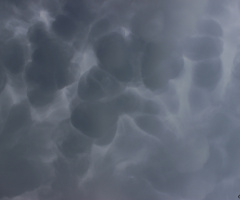 Mammatus