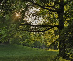 A Summerday In Frederiksberg Park - Copenhagen.