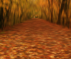 autumn tunnel