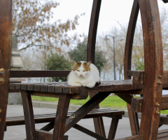 Rahatlık