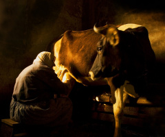 Sevgiyle Bakış