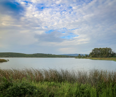 Çaltıcak Gölü
