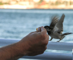 Açlık