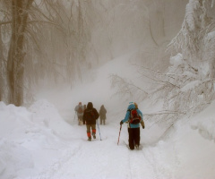 Trekking