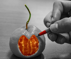 Color splash mandalina :)