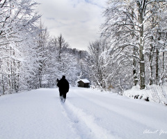 Kış-Winter