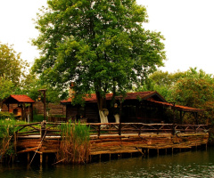 Doğadan