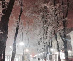 Cold evening