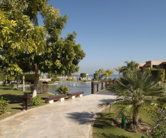 Egypt - sunny winter morning