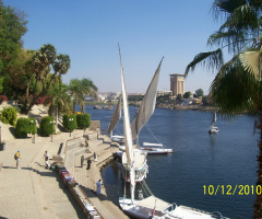 Egypt - Aswan sailboats , sunny winter