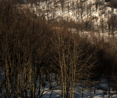 Kartepe'ye Gidiş 
