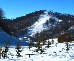 Kış
