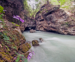 doğadan