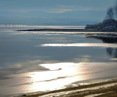 Golden Winter Day (2)
